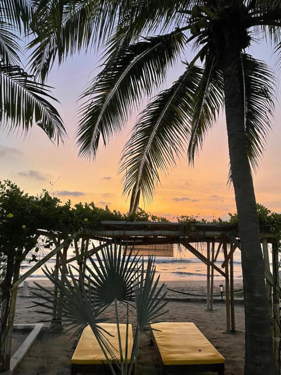 Casa Faro Bed & Breakfast Troncones Ngoại thất bức ảnh